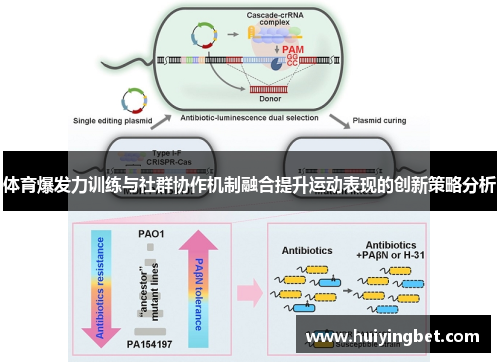 体育爆发力训练与社群协作机制融合提升运动表现的创新策略分析